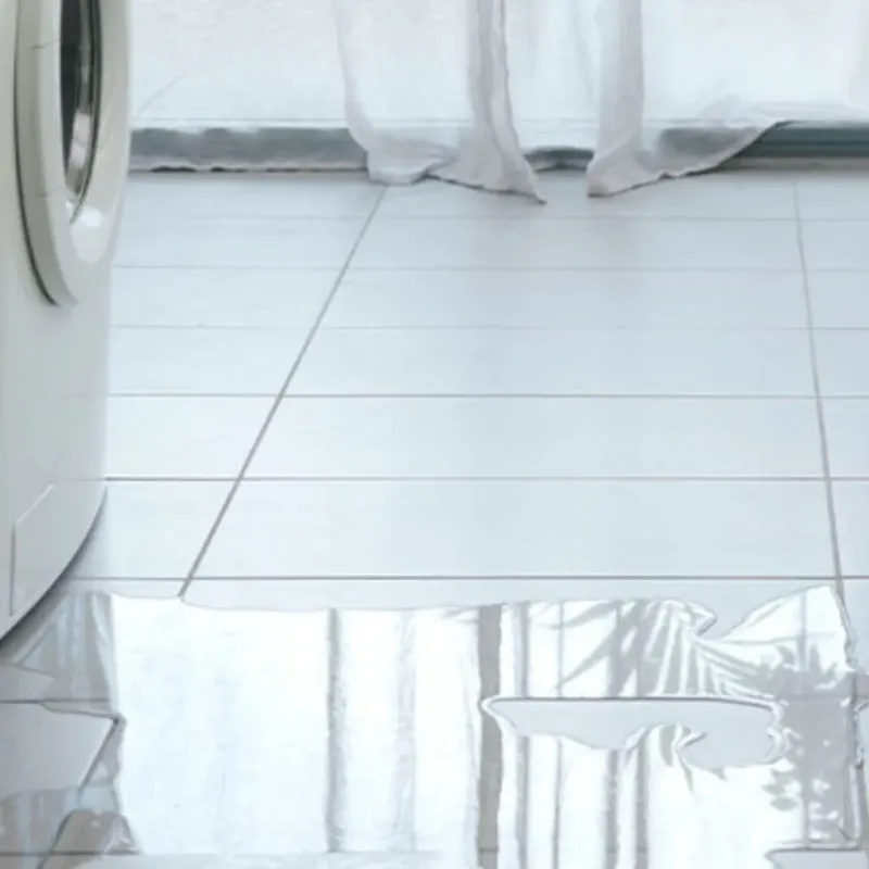 Appliance Leak Cleanup in Caban, PR